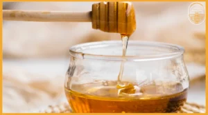 Free delivery Sidr honey