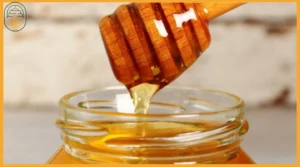 Sidr honey buy online