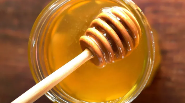 What is special about Sidr honey